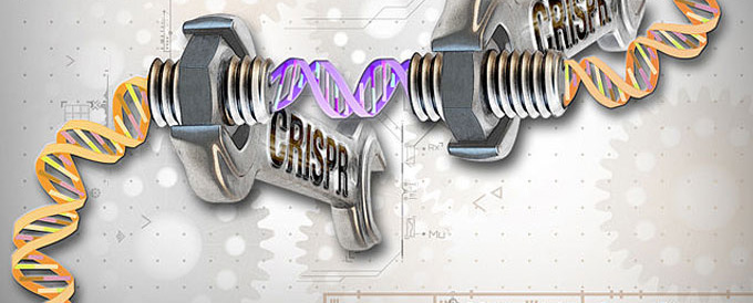 CRISPR-Cas9